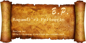 Bagaméri Pellegrin névjegykártya